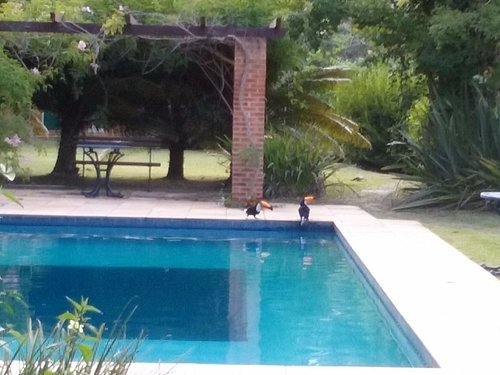 Unidade Petrópolis - RJ — foto 2